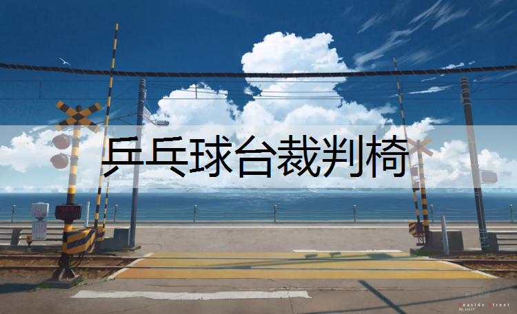 乒乓球台裁判椅 乒乓球台裁判椅